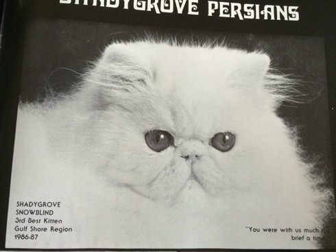 Snowblind yearbook picture